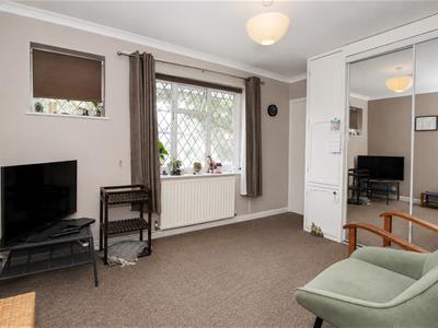 Picture 15